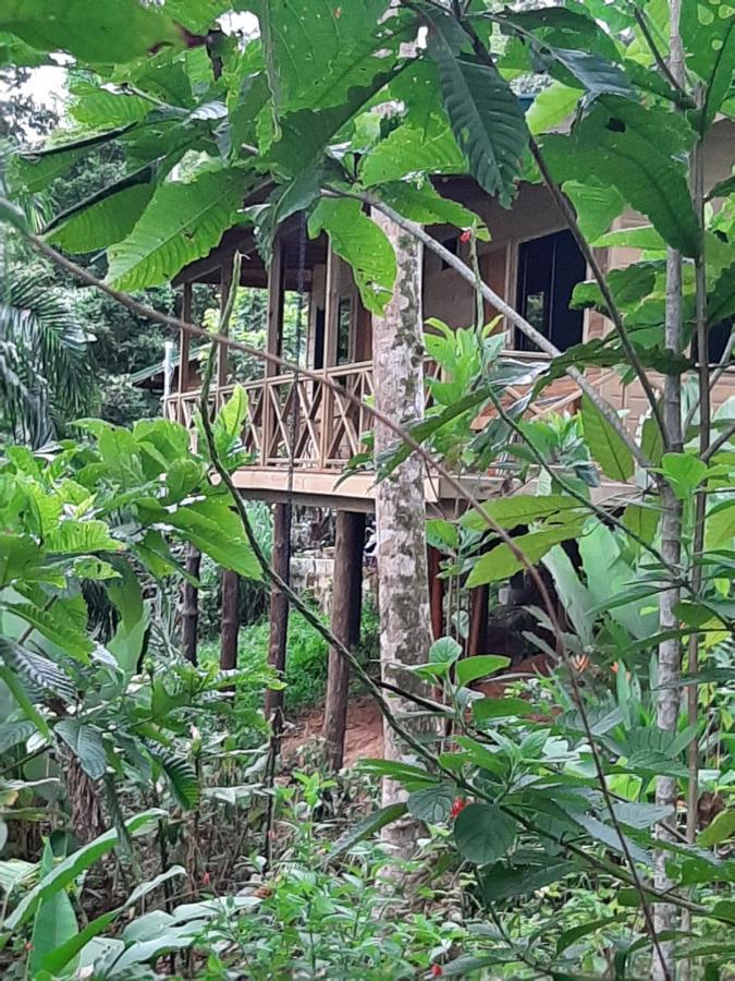 Forest Lodge ウビタ エクステリア 写真